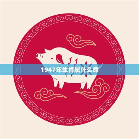 1947年五行属什么|1947年属什么生肖？详细解析1947年的属相及命运